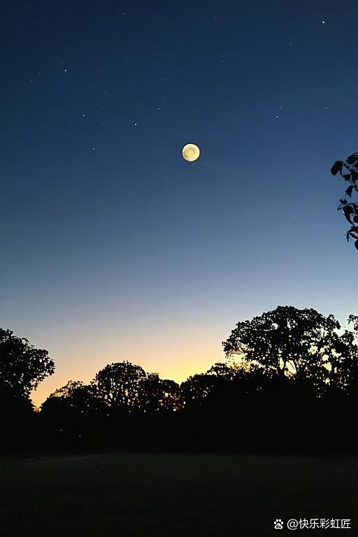 月圆之夜-(中国)有限公司