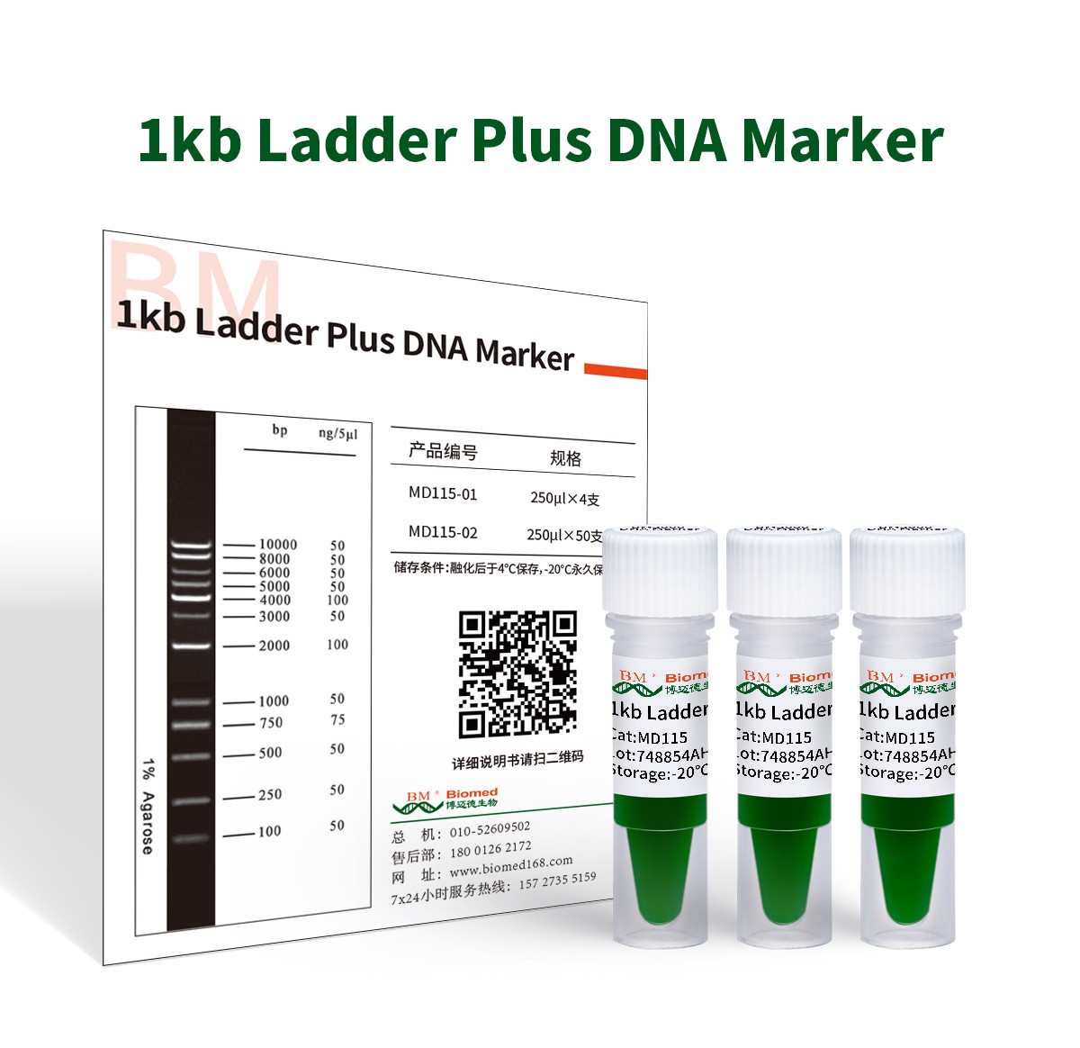 💴DNAMAN官方正版下载-DNAMAN2025最新版本下载V.811.54