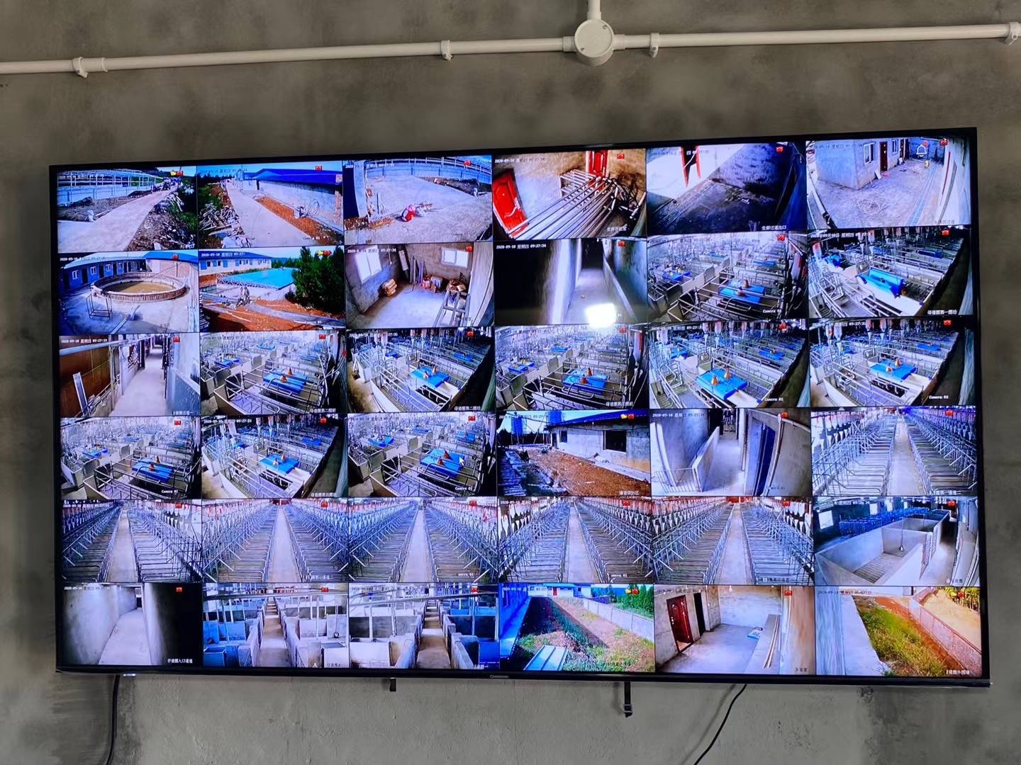 玩家必看科普易视看监控-3人回复