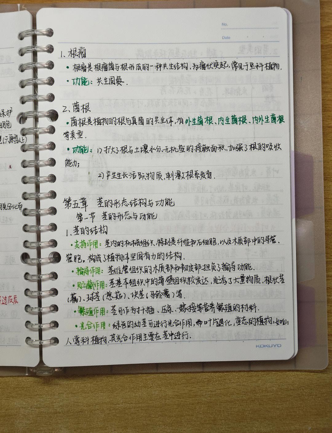 【最新科普】SPSS如何绘制茎叶图_(2025全新上线)