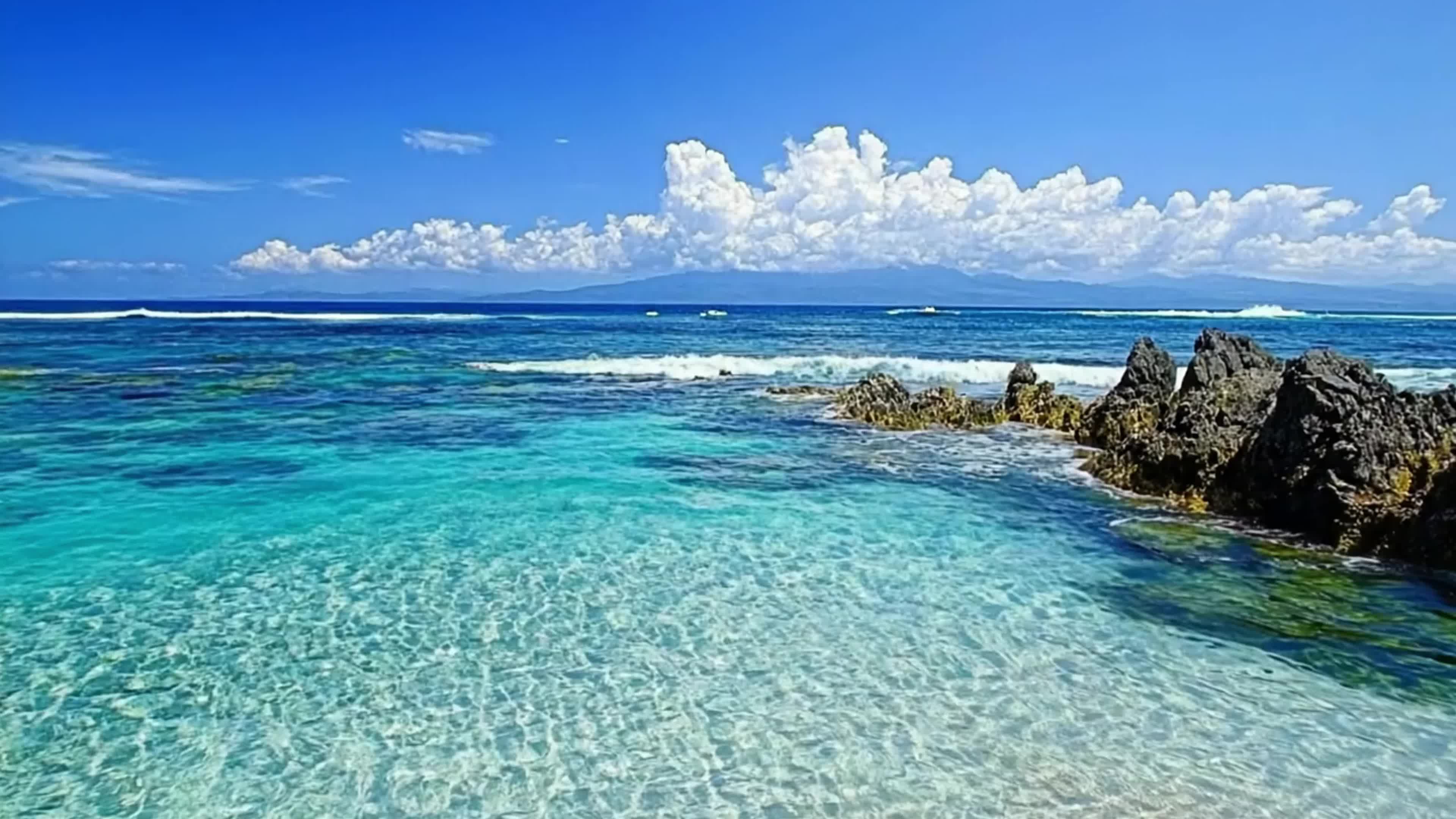 2025更新发布:大海视频-今日汇总