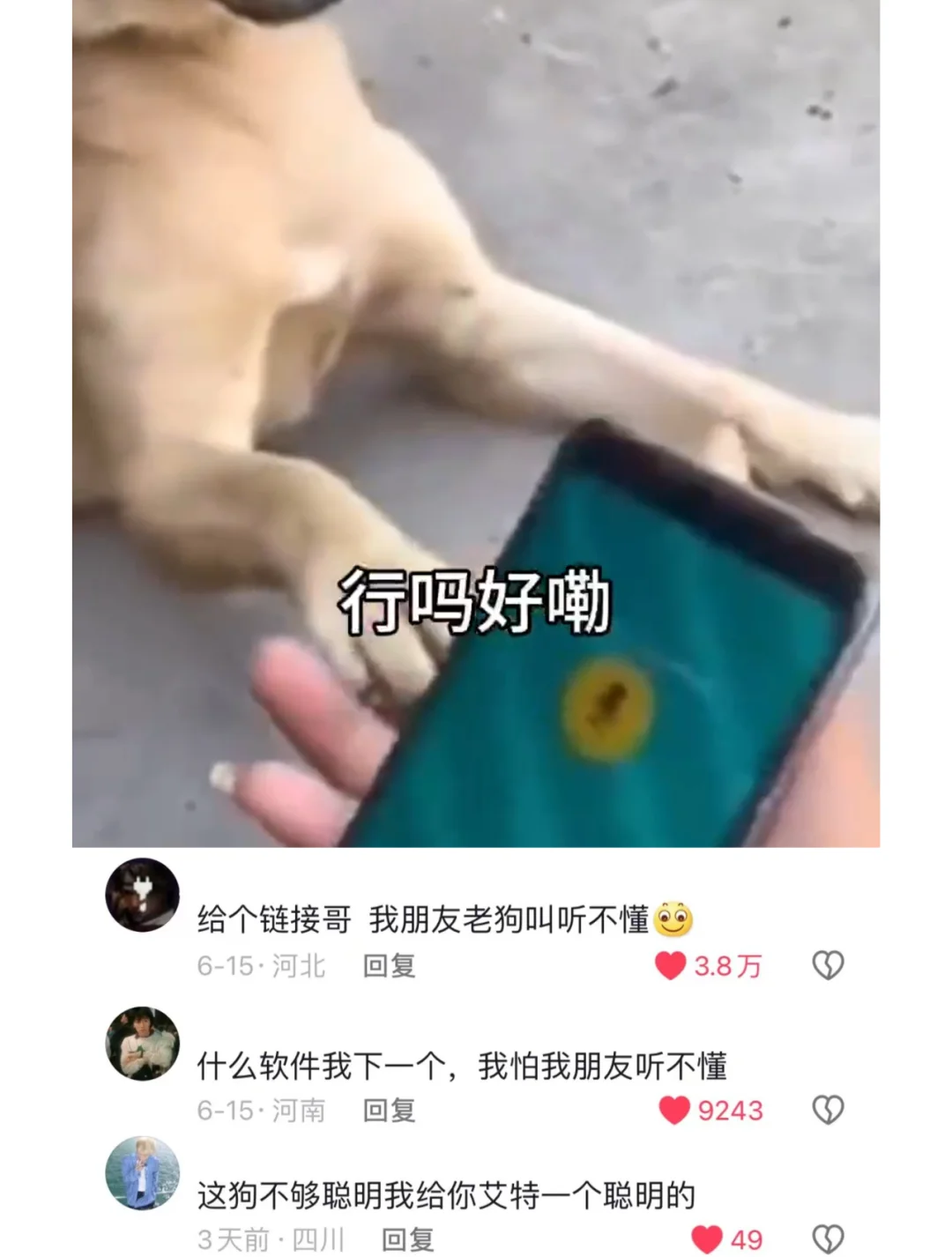 【马上明白】狗狗翻译器app(2025)-新闻详情