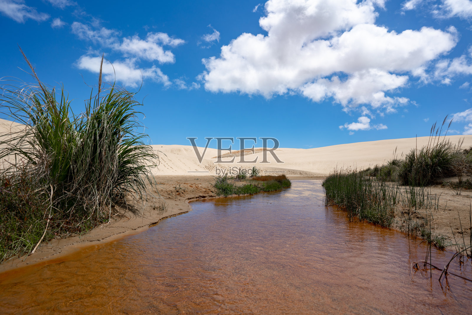 (6秒懂真相)绿洲给大家科普一下