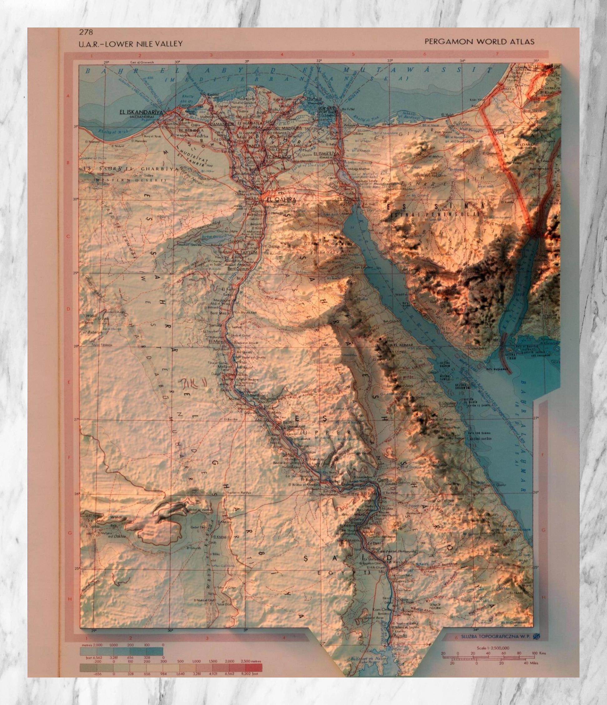 🍇天地图地表地形图免费官方版下载-天地图地表地形图免费官方版下载