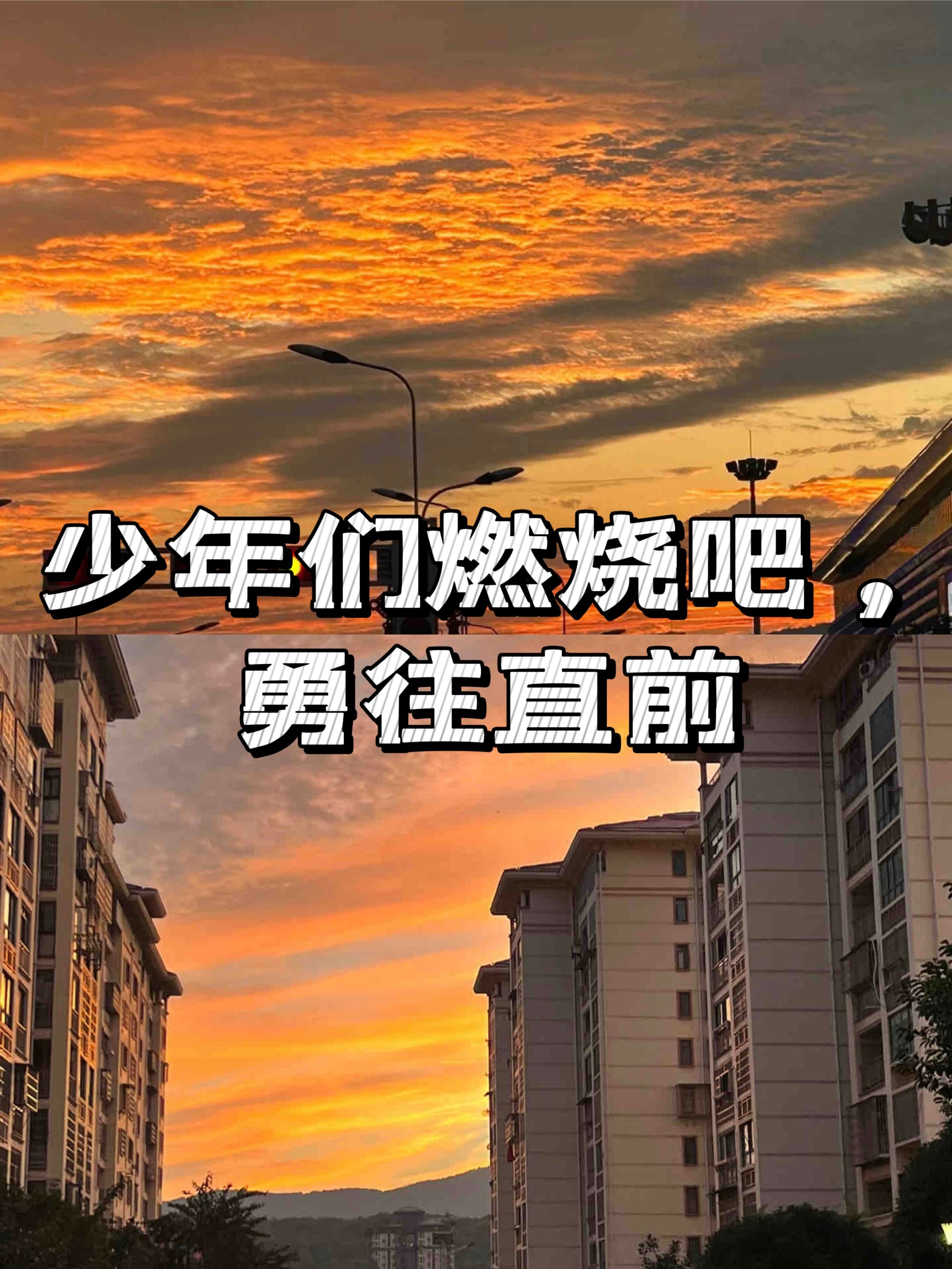 勇往直前-勇往直前app2025最新版V.249.46