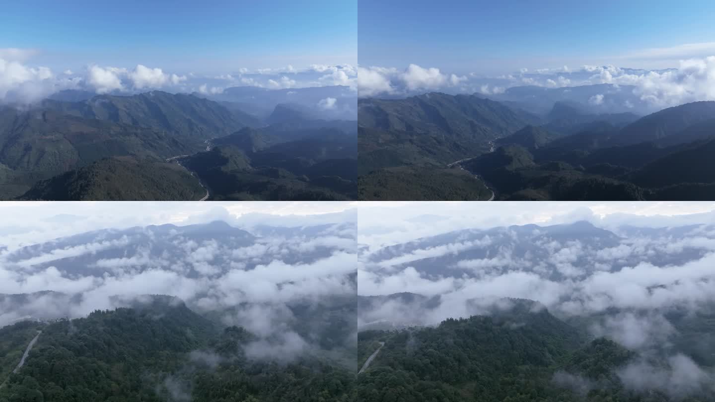 大地视频官方正版下载-大地视频下载