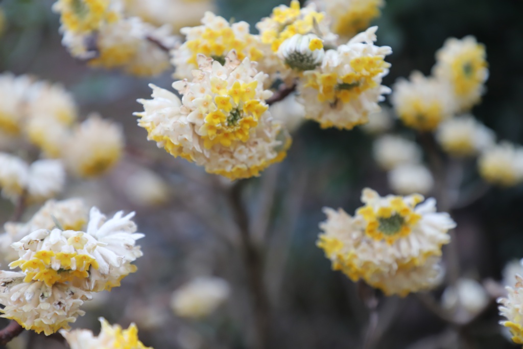 素材下载 第27页