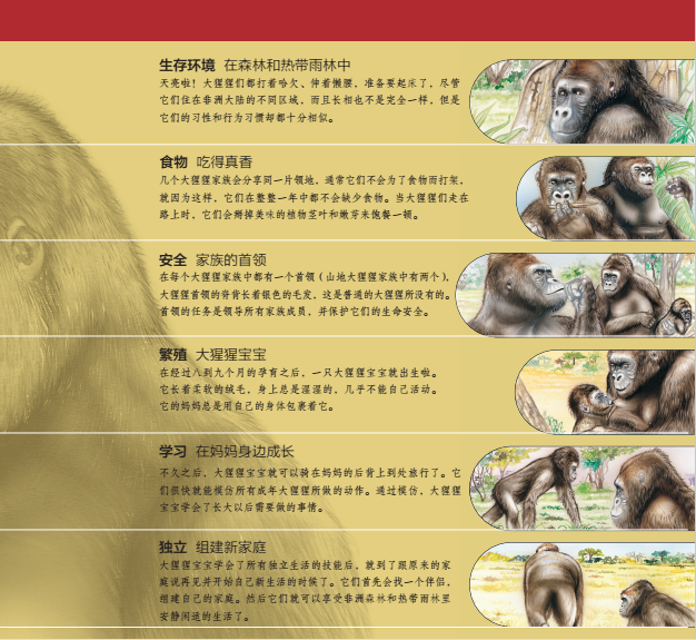 普及一下!猩猩助手是干什么用的-今日排名一览