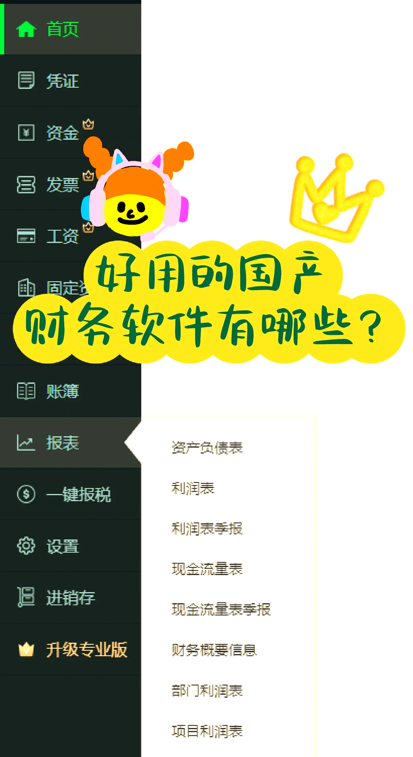 细说秒懂科普)安易财务软件(10分钟响应)