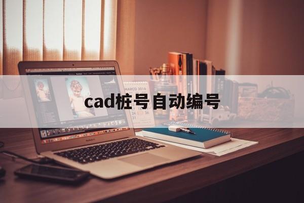 ➡️cad桩号自动编号官方下载安装-cad桩号自动编号app2025最新版V.469.50